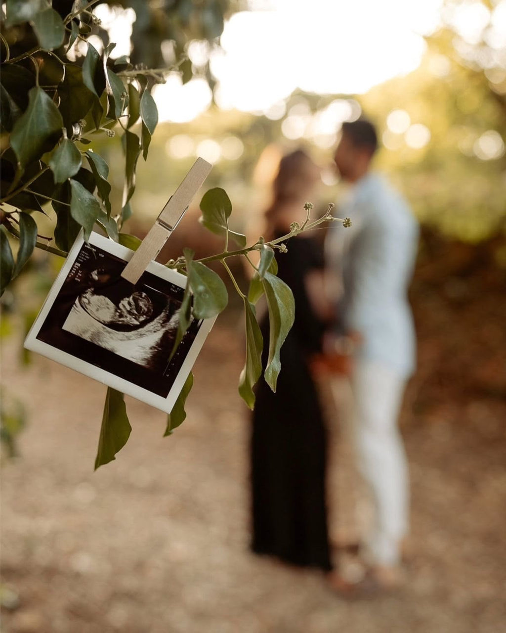 Pregnancy Polaroids