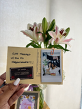 Polaroids